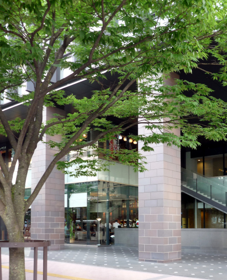 税理士法人TMアカウンティング リンク