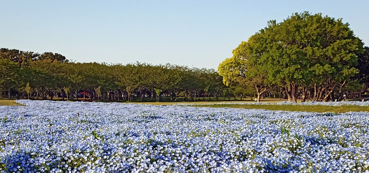 無料相談で安心のサポート